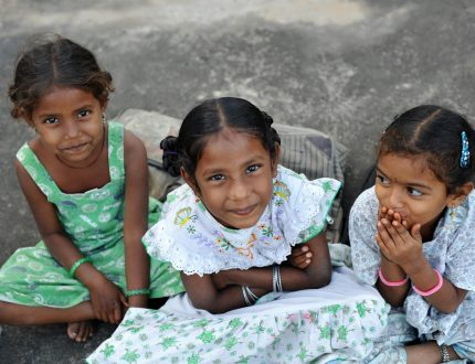 pexels-krishna-das-841363485-19467470